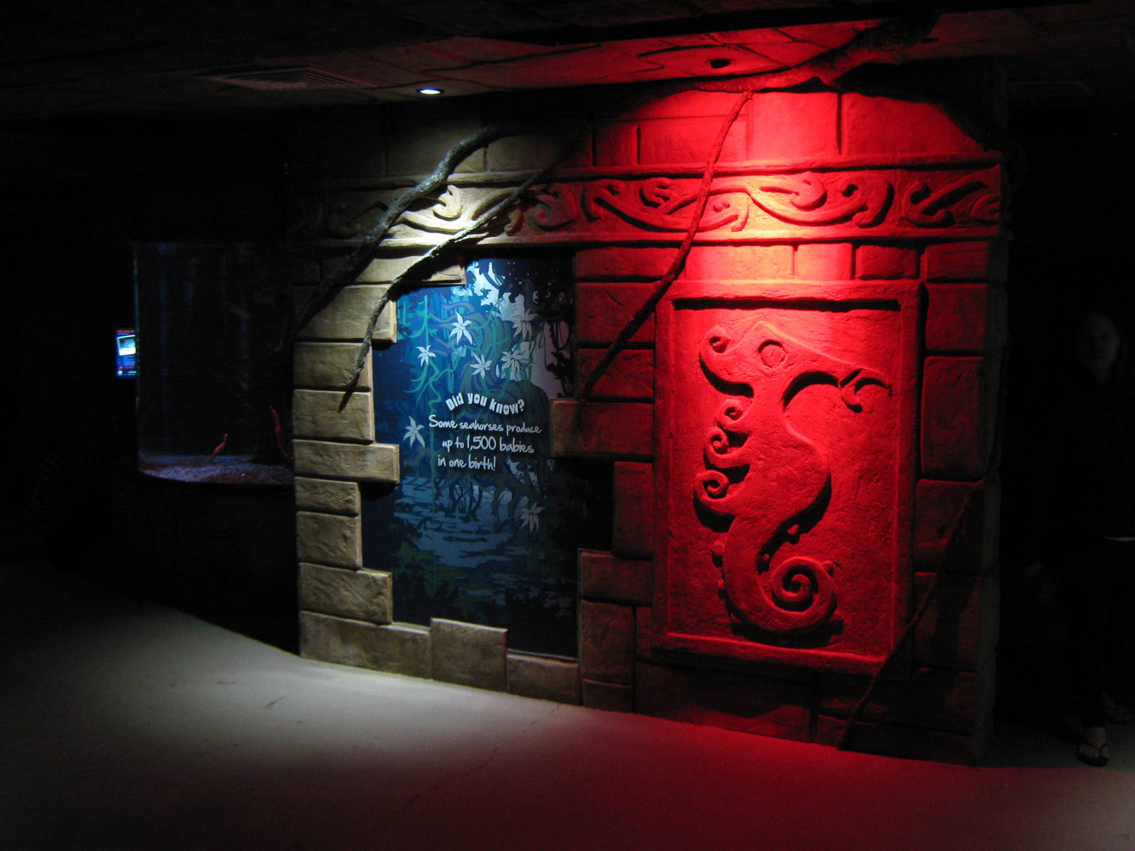 entrance to Seahorse Kingdom