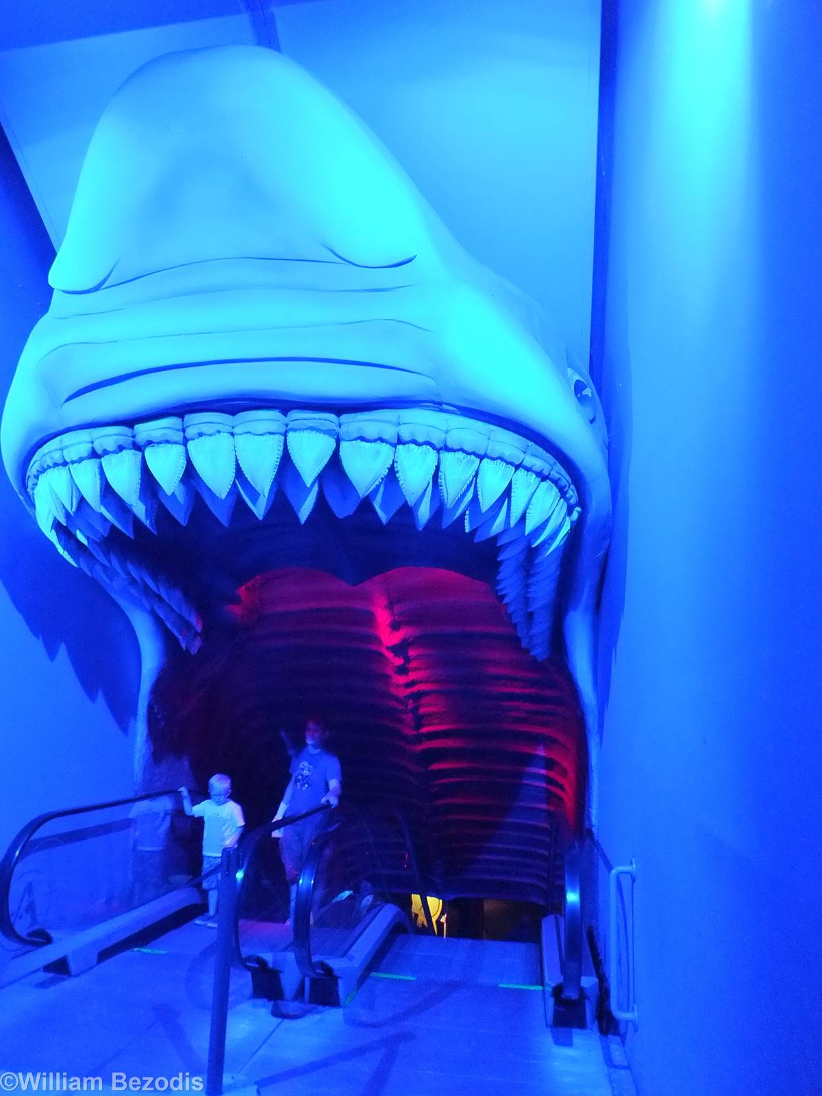 Entrance to 'Shark Escalator'