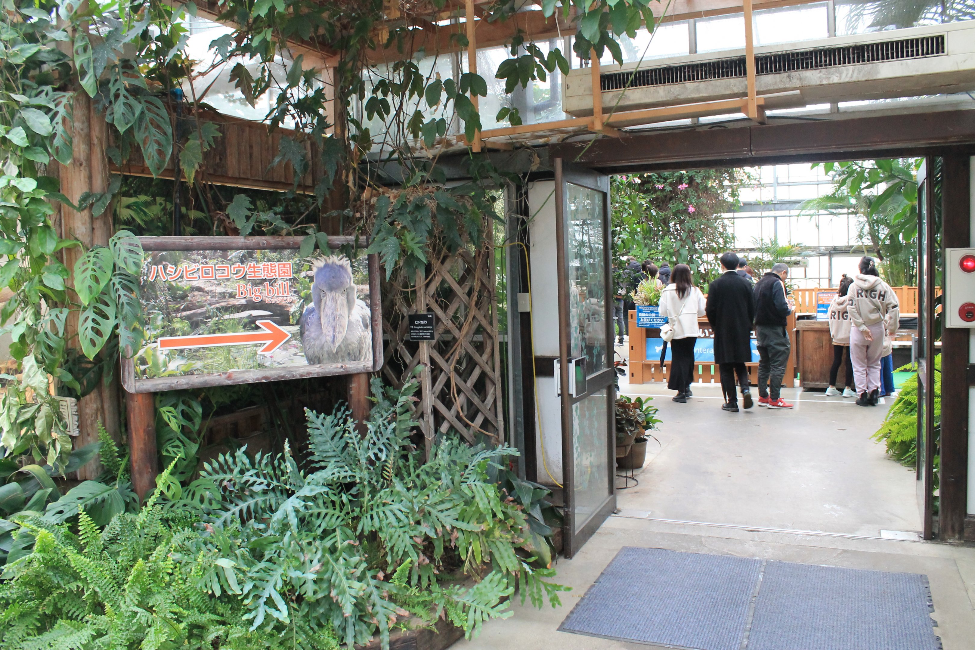 Entrance to Shoebill greenhouse
