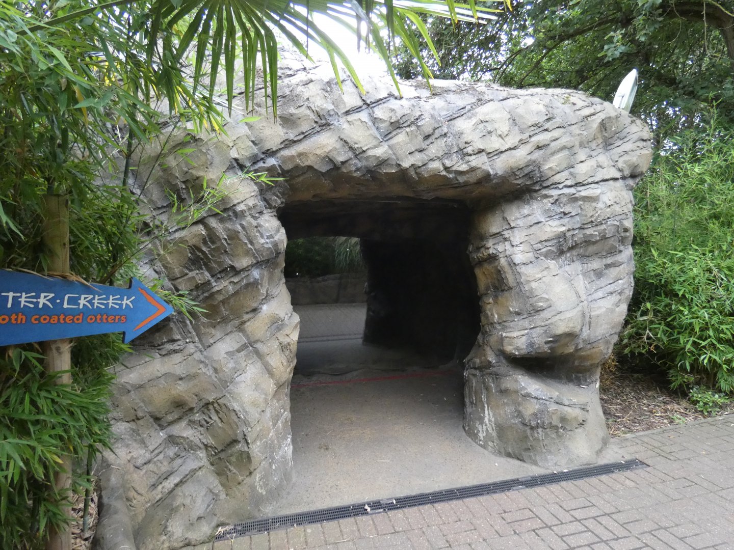 Entrance to Smooth-coated otter cave