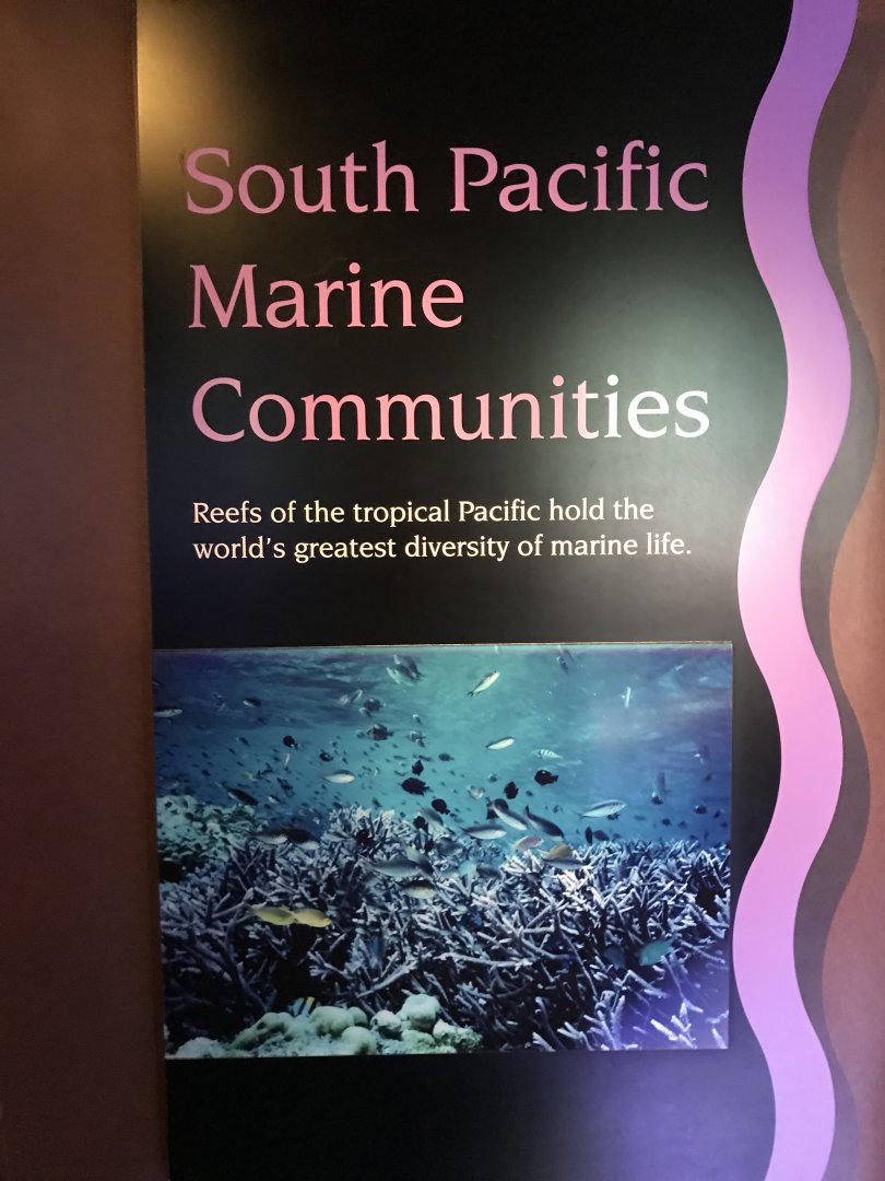 Entrance to South Pacific Marine Communities