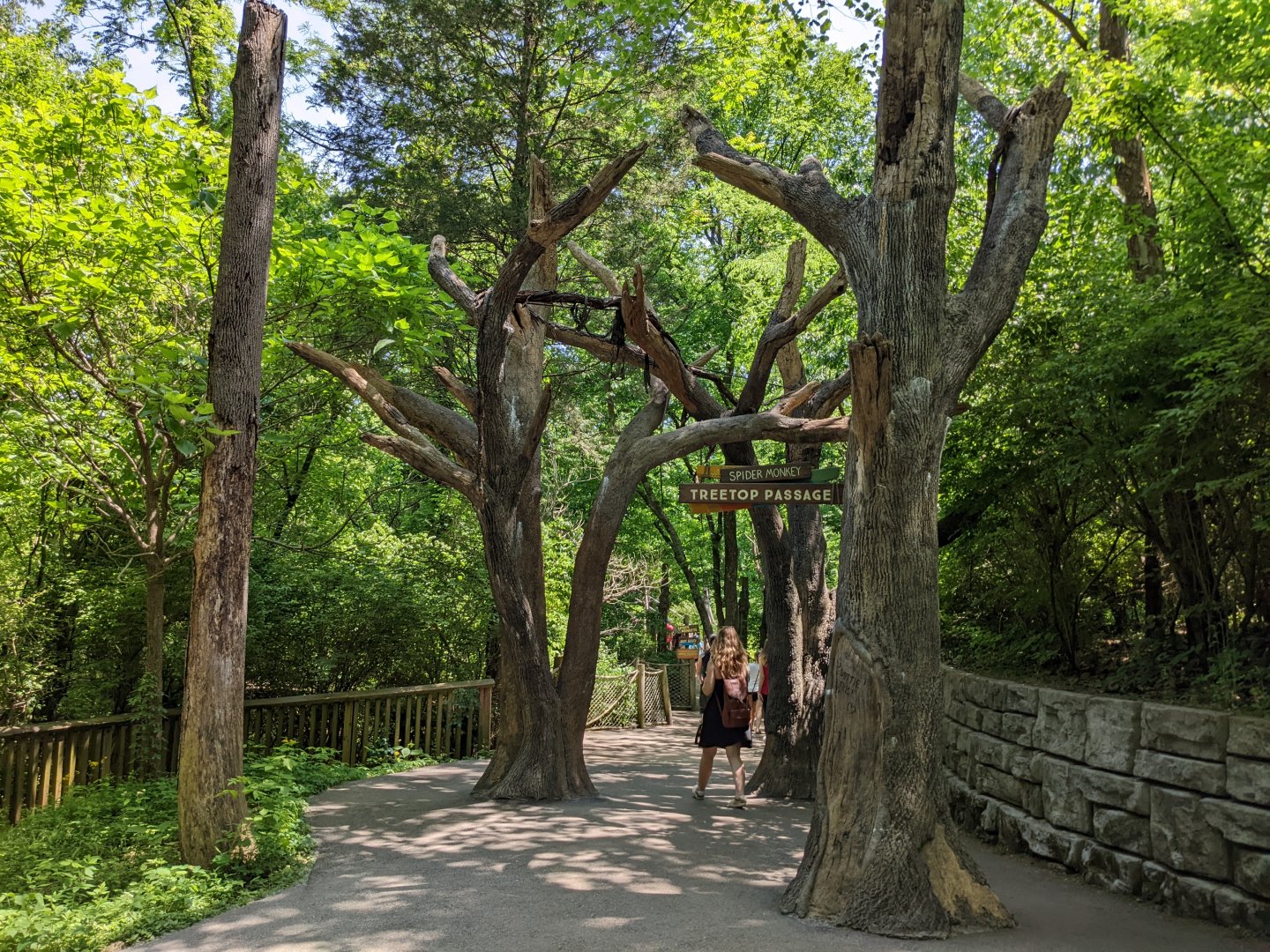 Entrance to Spider Monkey exhibit area