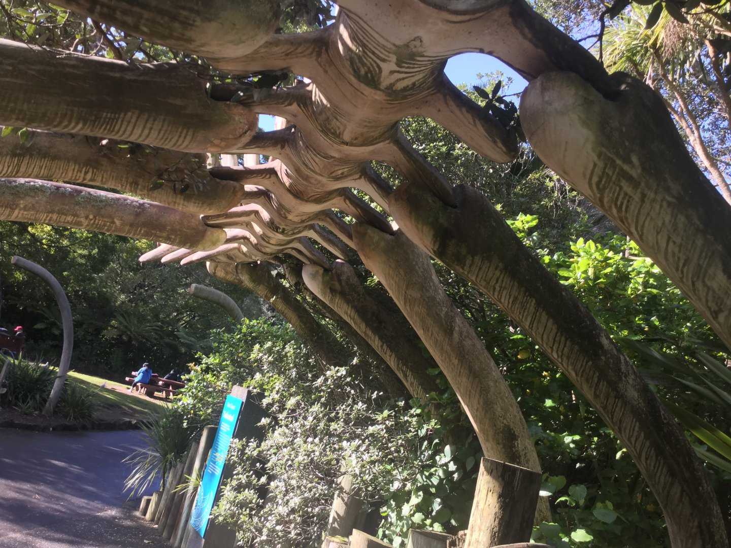 Entrance to Te Wao Nui - The Coast