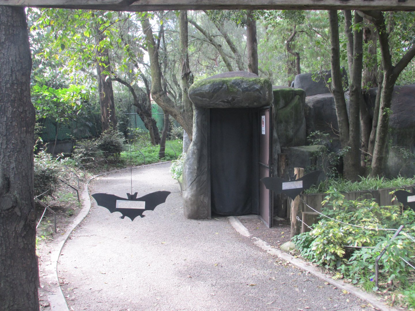 entrance to tequila bat cave