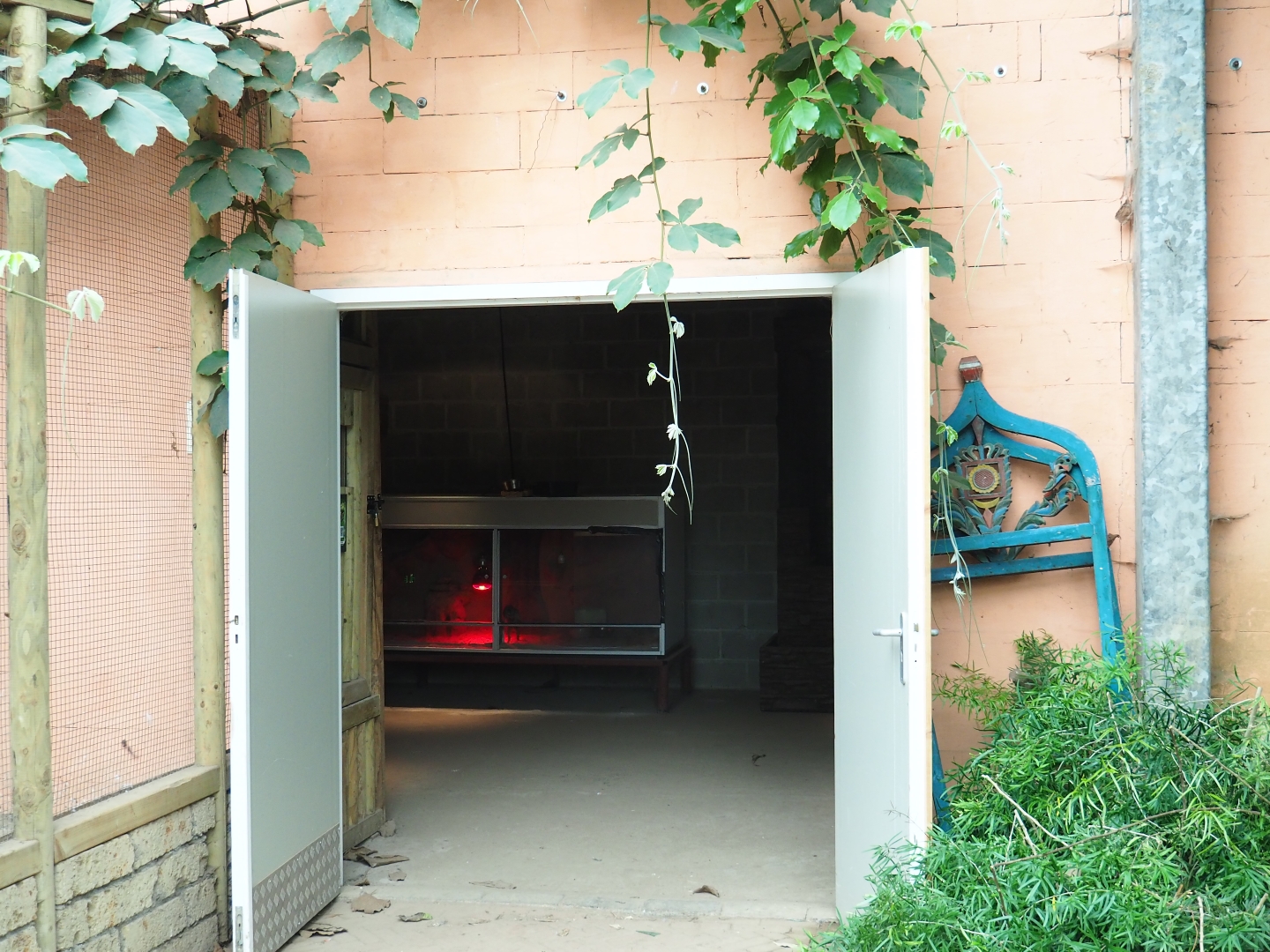 Entrance to terrarium and bird raising room (Aug 28th, 2018)