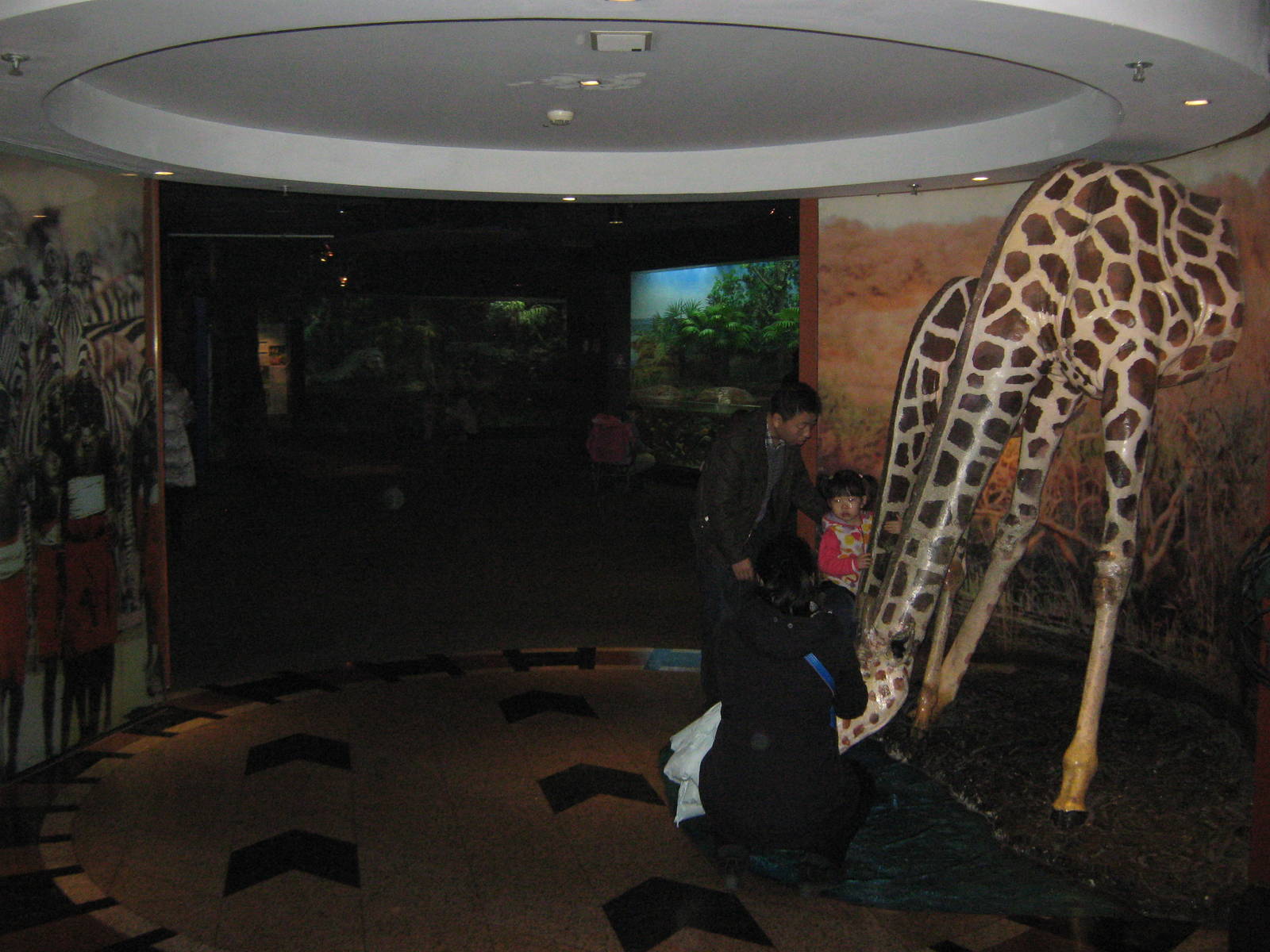 entrance to the Africa Zone