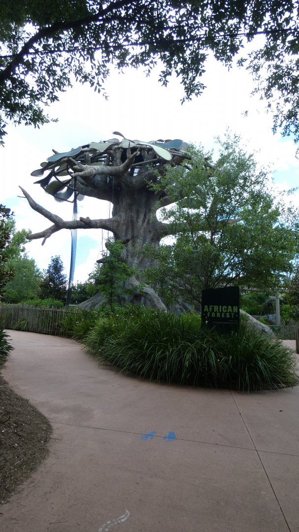 Entrance to the African Forest - June 2022