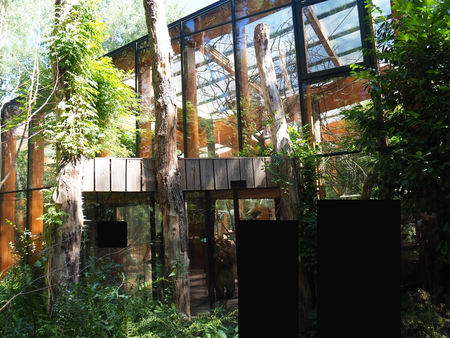 Entrance to the Aldabra giant tortoise house