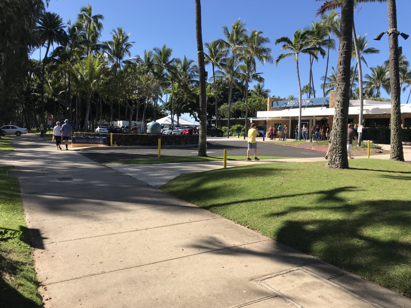 Entrance to the aquarium