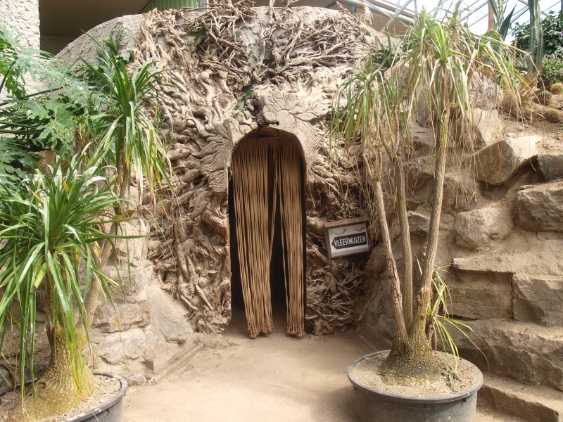 Entrance to the bat cave