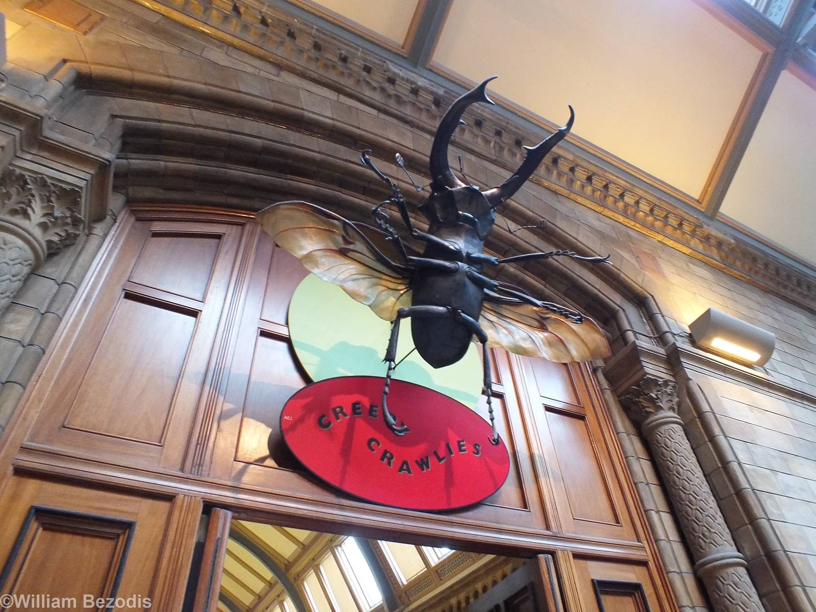 Entrance to the Creepy Crawlies Area - NHM London