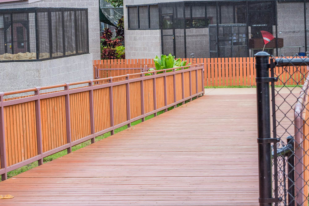 Entrance to the Ectotherm Complex from the elephants