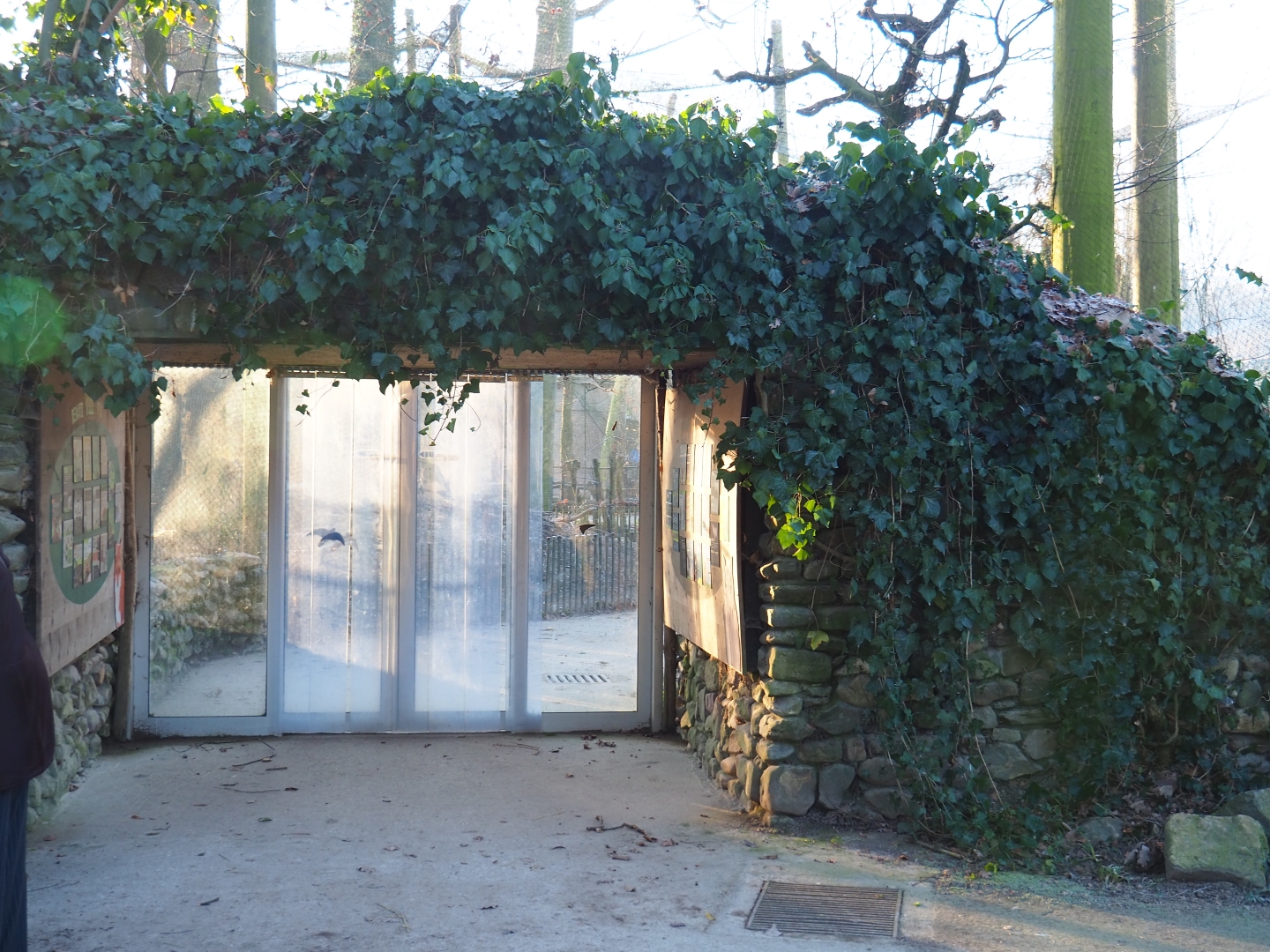Entrance to the European aviary (Jan 20th, 2019)