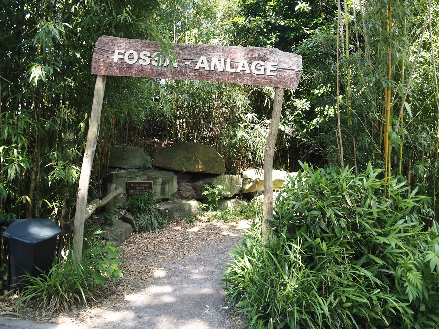 Entrance to the fossa area, 2024-06-08