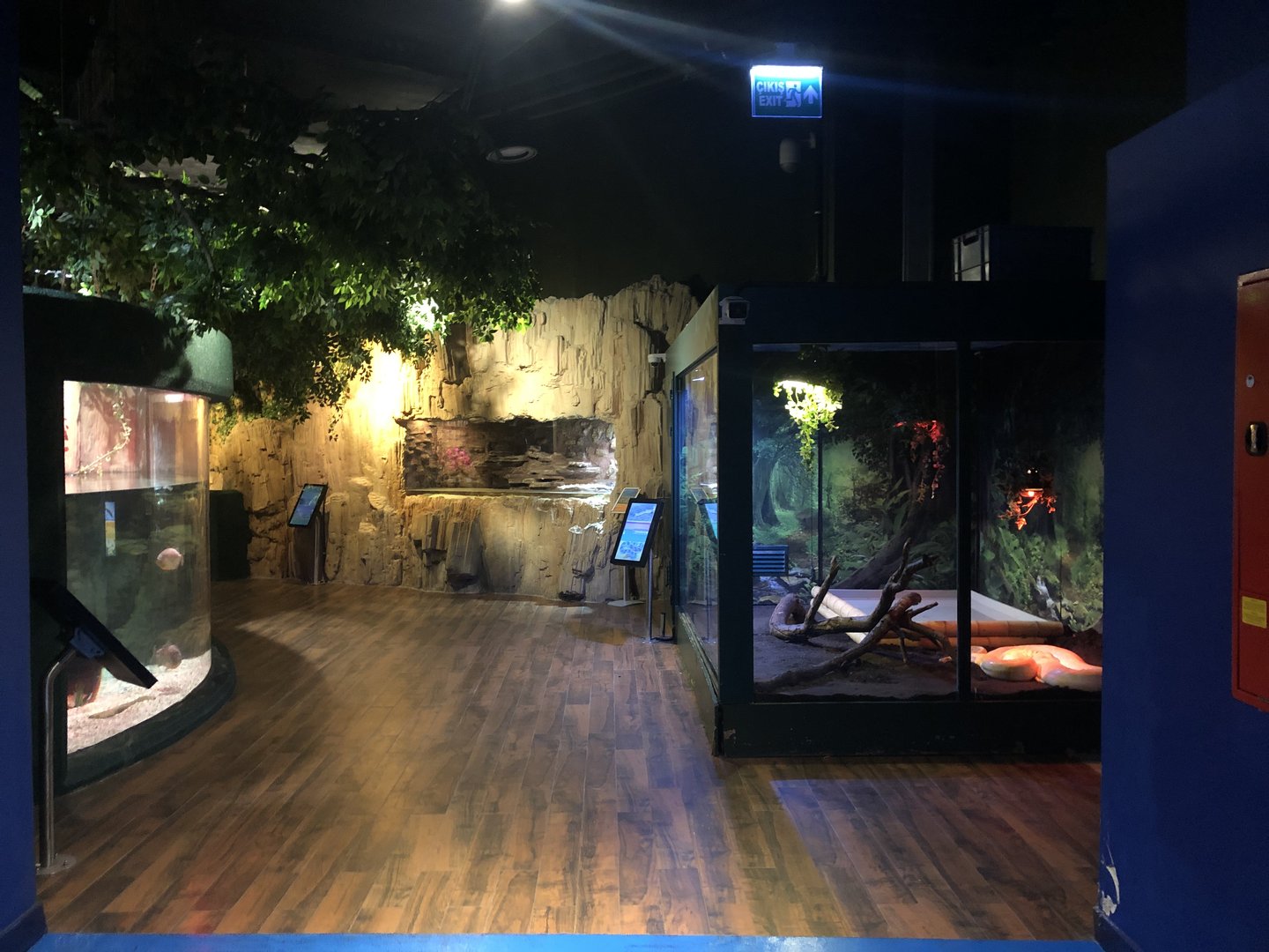 Entrance to the Jungle Area at Emaar aquarium