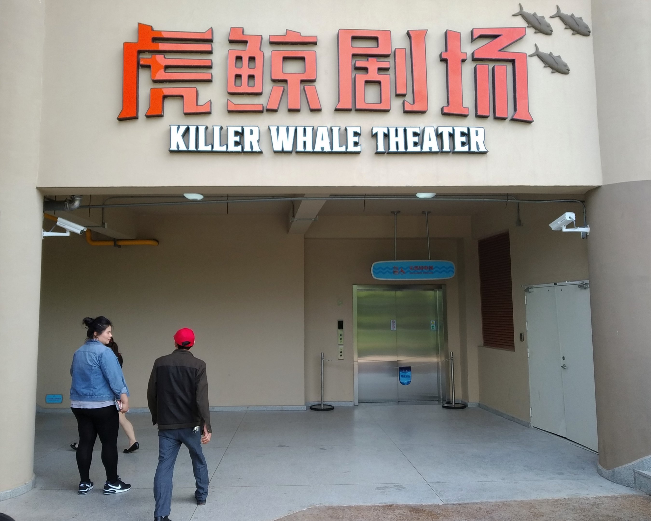 Entrance To The Killer Whale Theatre