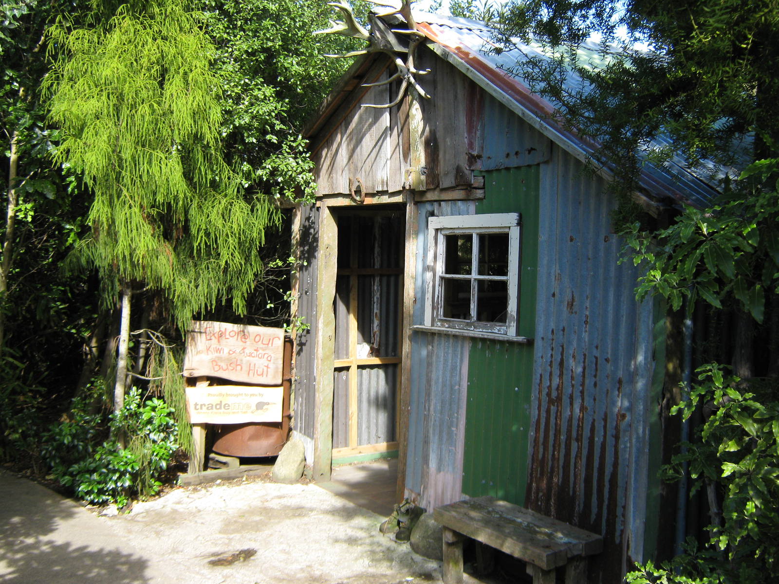 entrance to the kiwi house