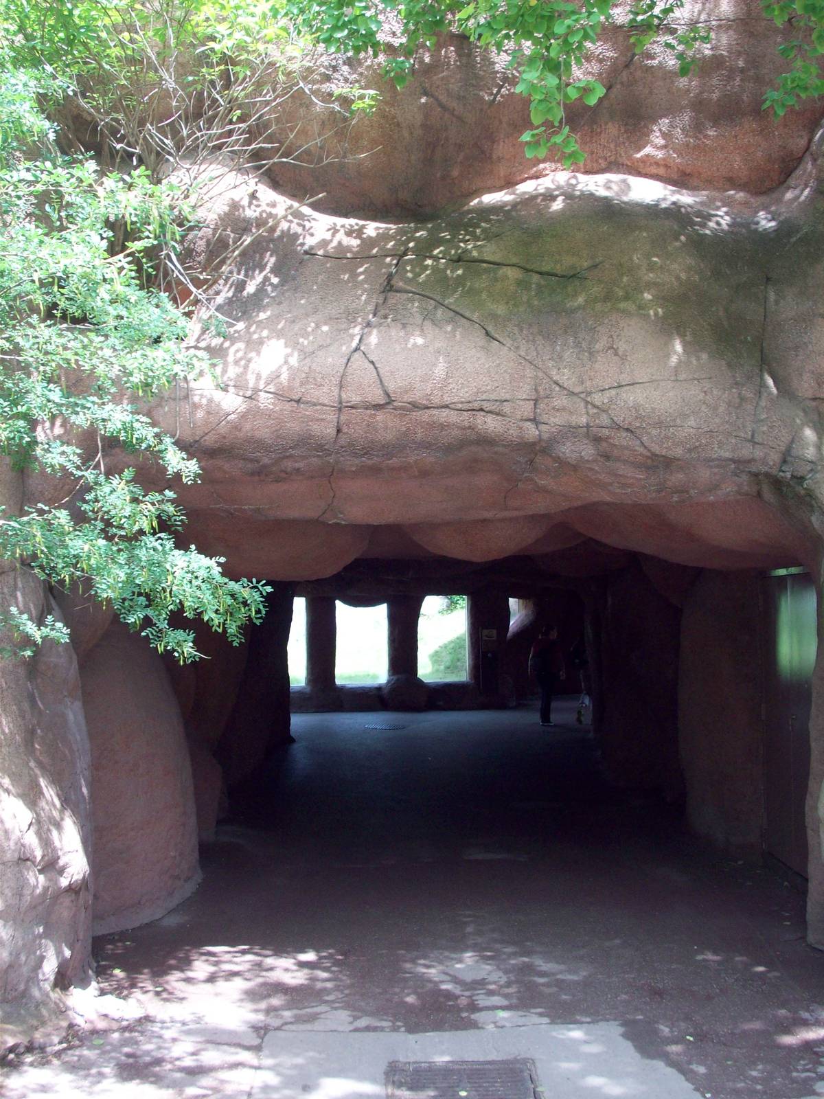 Entrance to the Lion Viewing Cave.