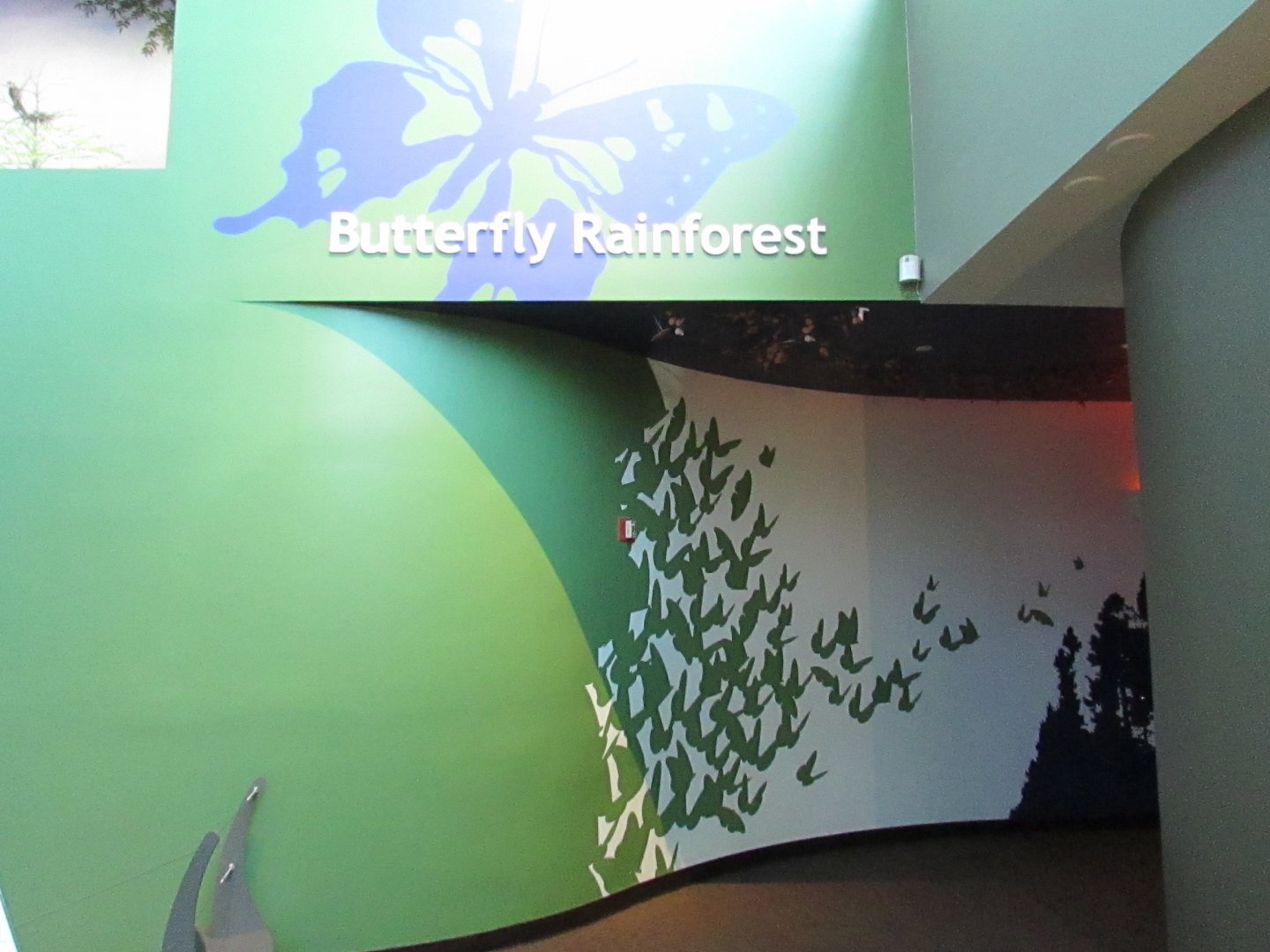 Entrance to the McGuire Center