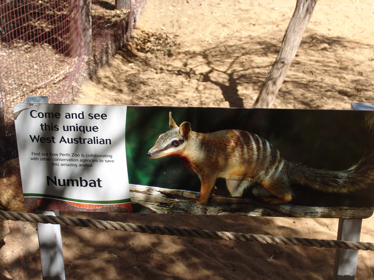 Entrance to the Numbat (Myrmecobius fasciatus) enclosure