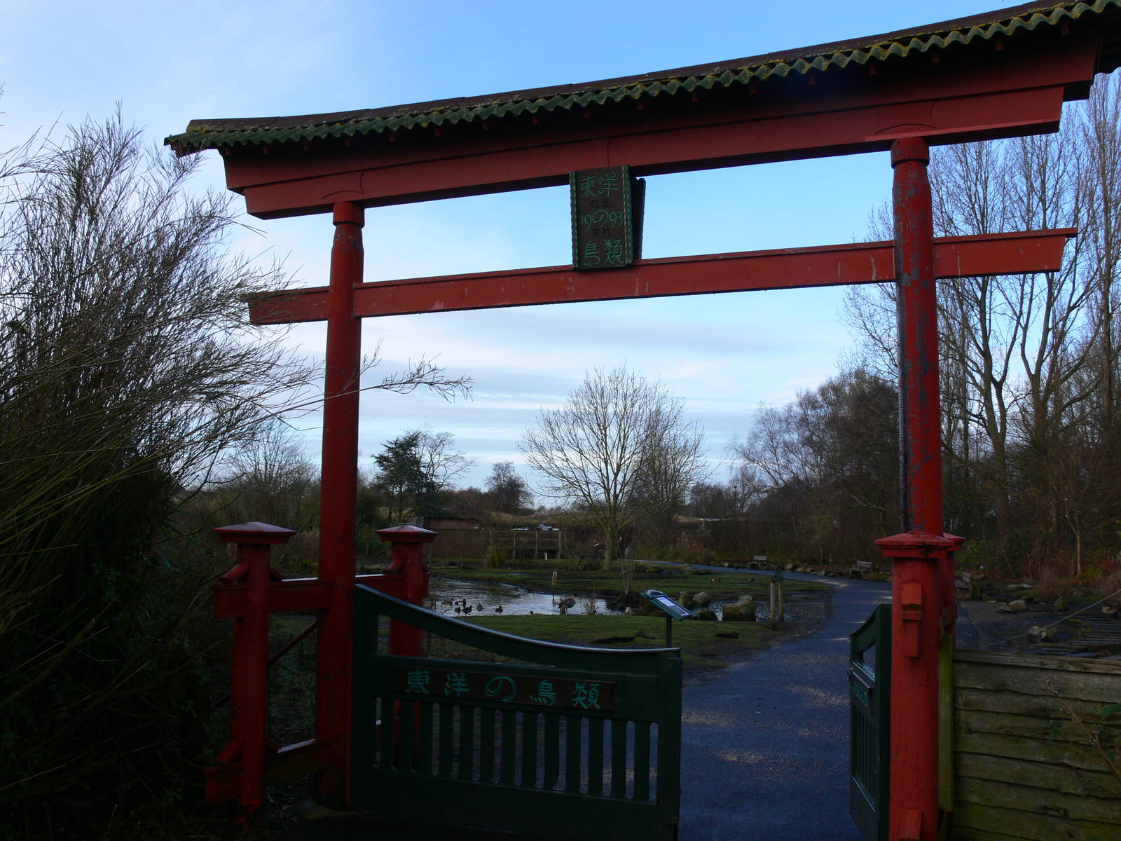 Entrance to the Oriental pen at Martin Mere WWT 08/12/12