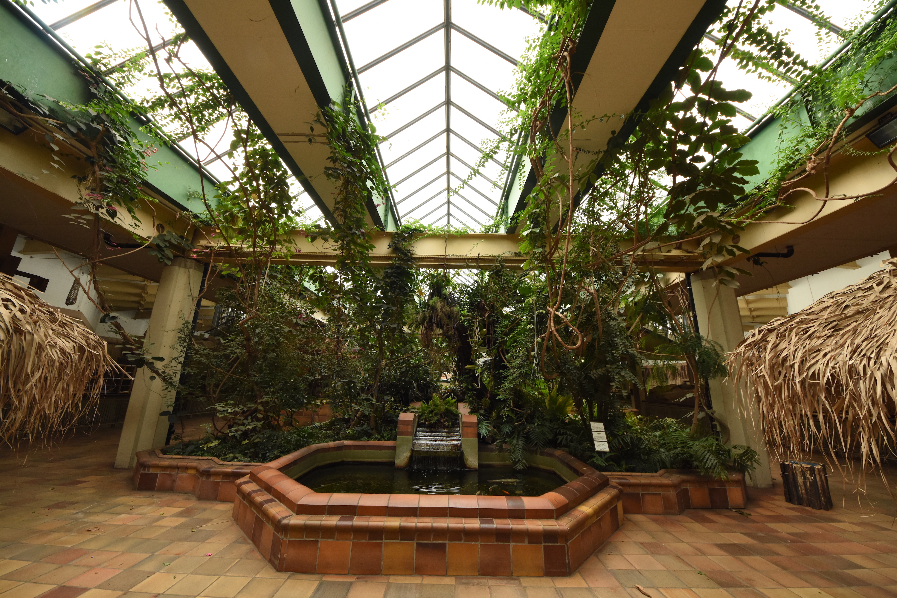 Entrance to the pachyderm house