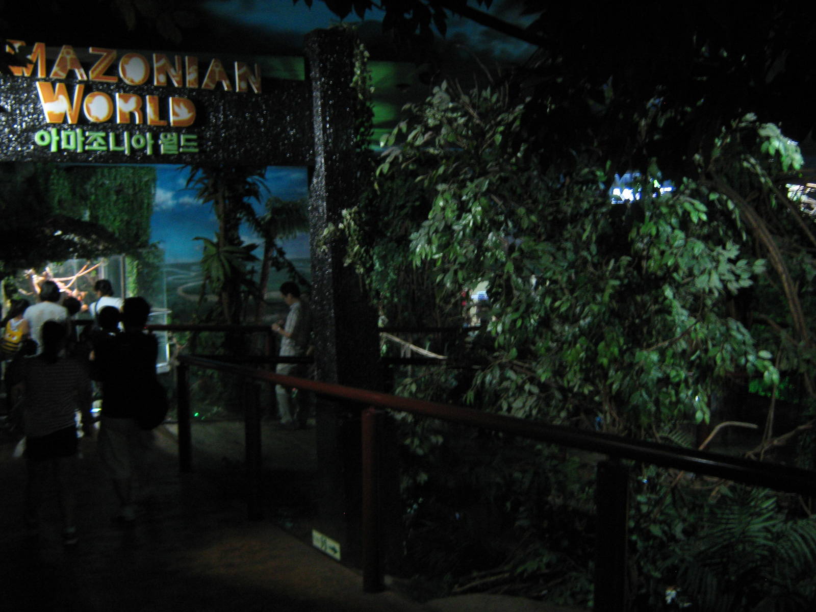 entrance to the rainforest