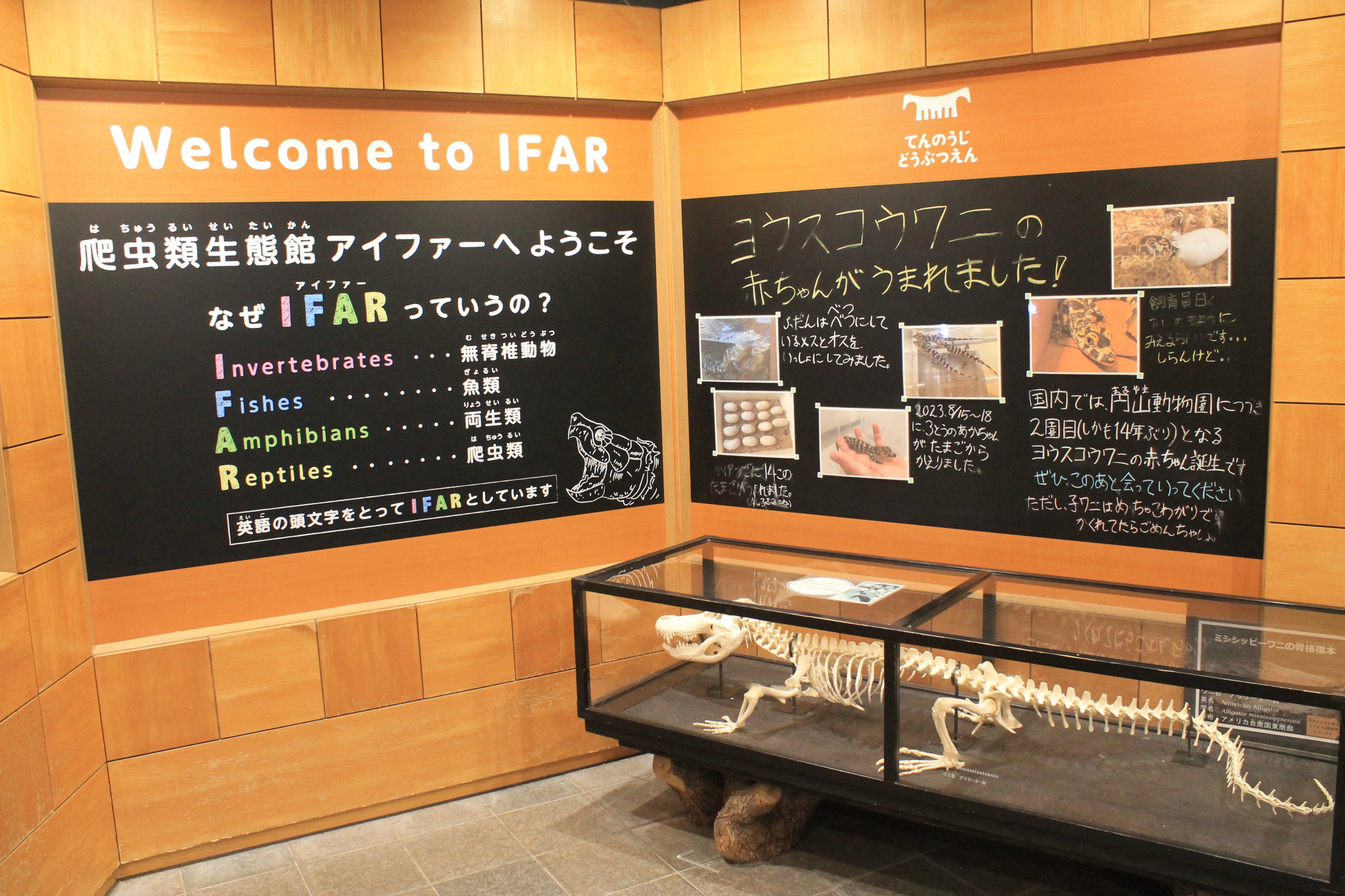 Entrance to the reptile house IFAR