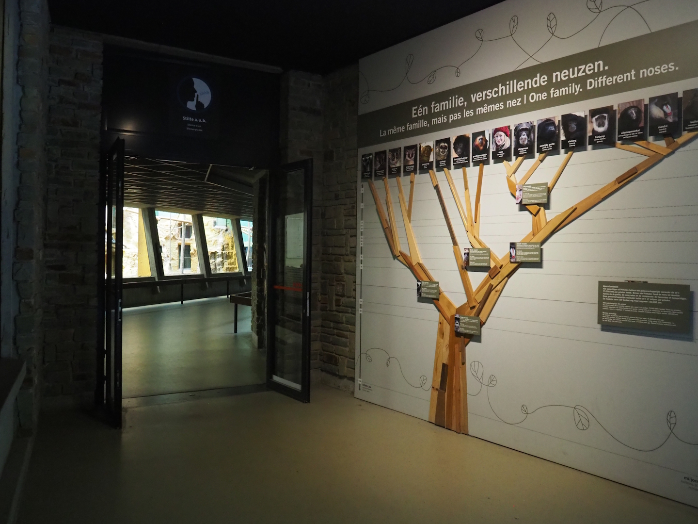 Entrance to the small monkey house and phylogenetic tree of the primates order, 2022-07-10