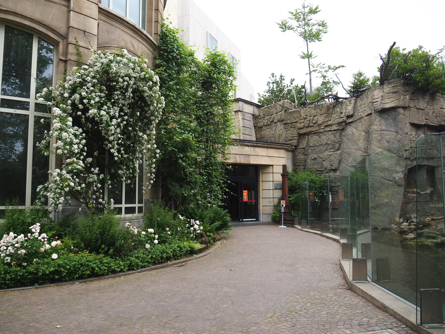 Entrance to the Small monkey house and the Winter garden/Butterfly house, 2021-06-12