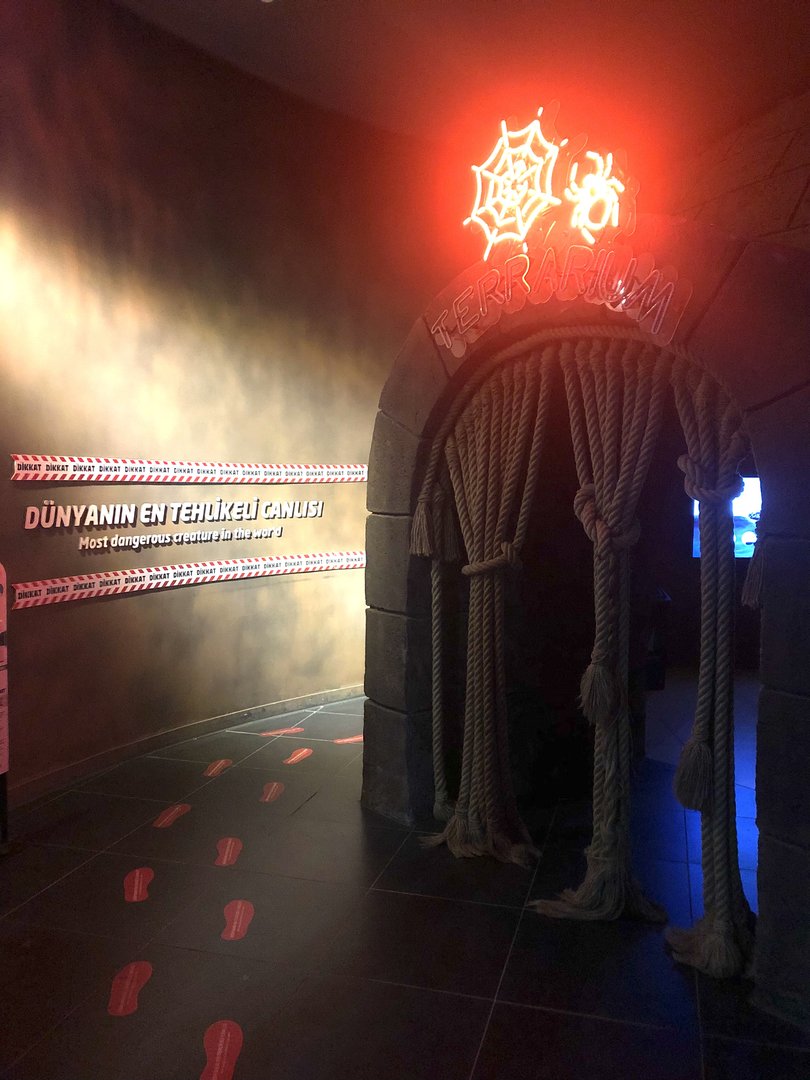 Entrance to the Terrarium Area at the ViaSea Aquarium