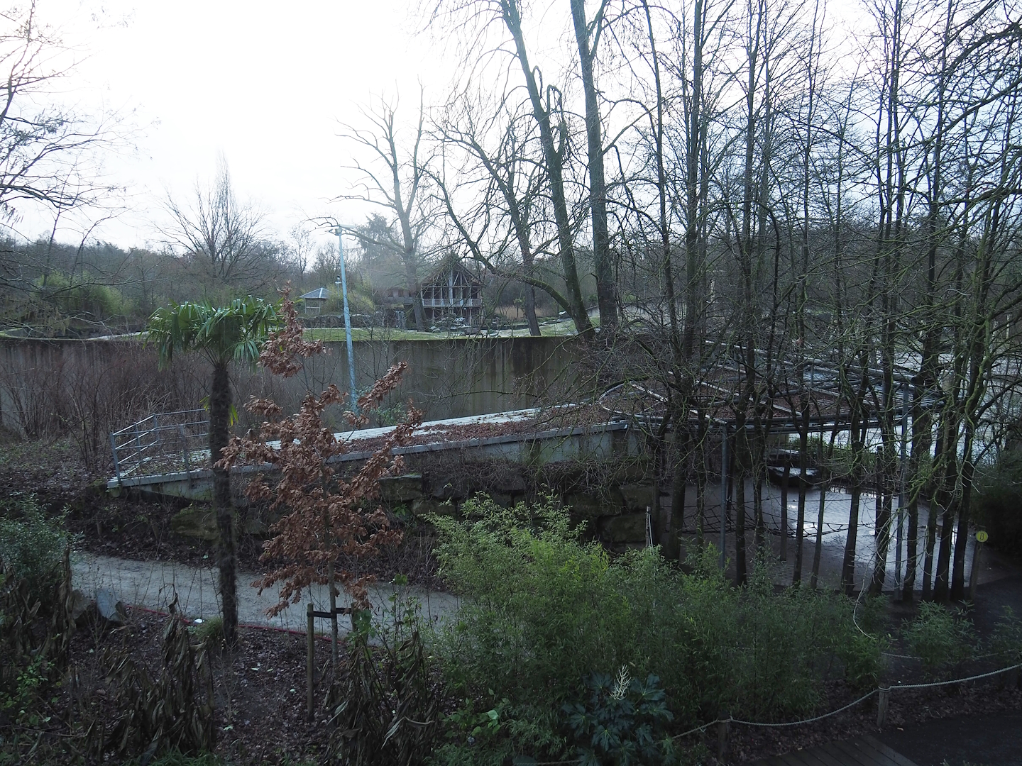 Entrance to the tree-top walk and Asian elephant paddock seen from the viewing area on top of the Sulawesi crested macaque house, 2024-01-01