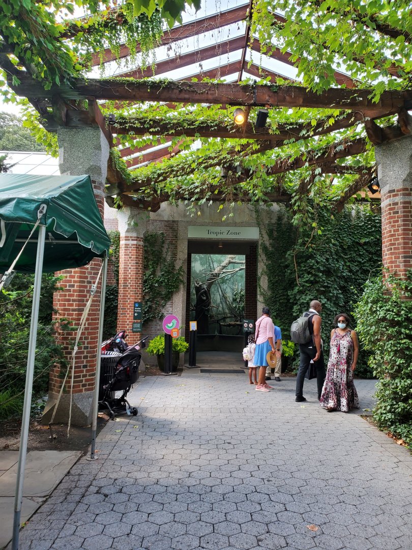 Entrance to the Tropic Zone - August 2021