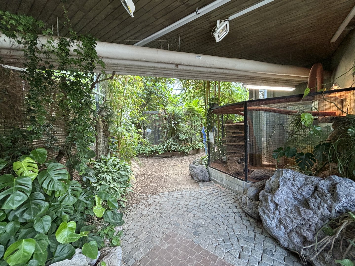 Entrance to the tropical zone featuring dwarf mongoose enclosure