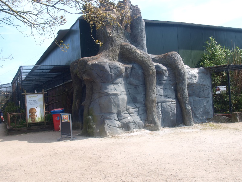 Entrance to the Tropics Hall (April 19th, 2015)