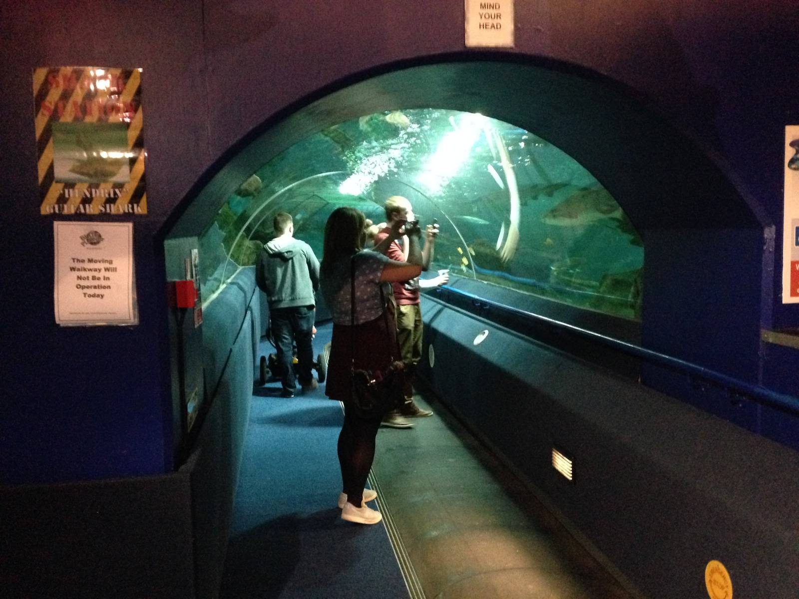 Entrance to the Underwater Aquatunnel at Blue Planet Aquarium - 05/10/2013