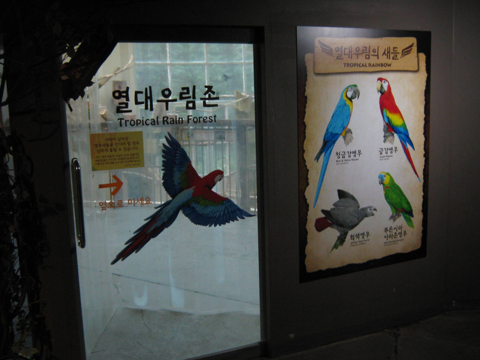entrance to the walk-in macaw aviary in the Bird House