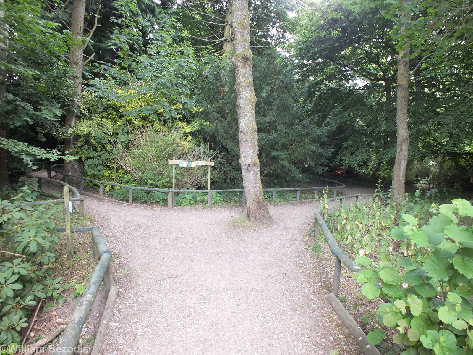 Entrance to the 'Woodland Walk'