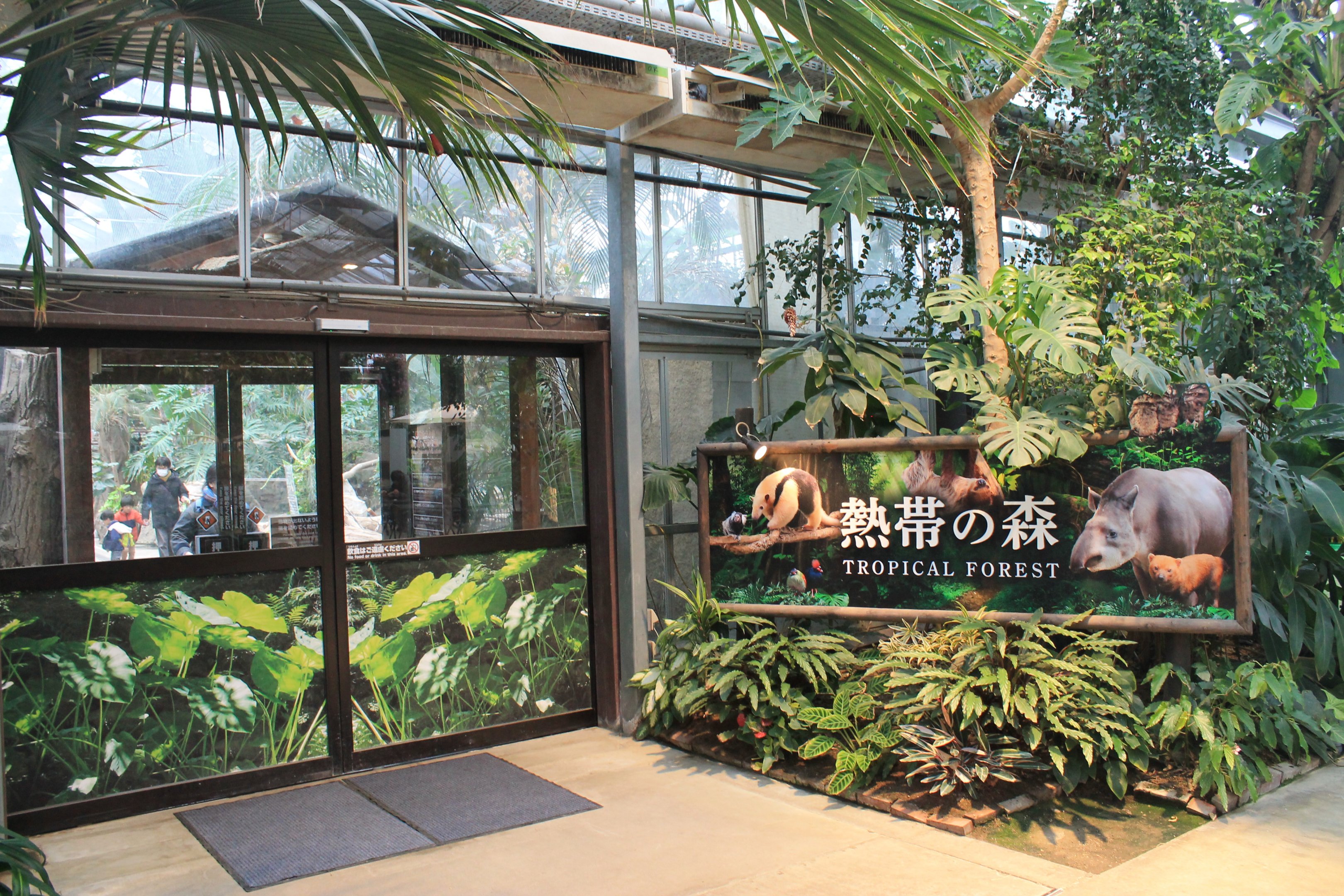 Entrance to Tropical Forest