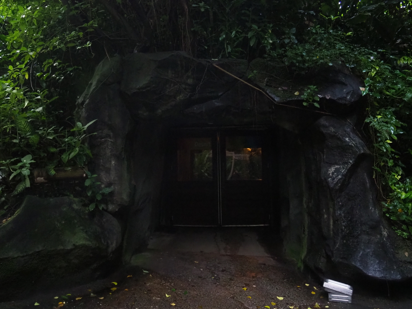 Entrance to tunnel to the Desert (Sep 16th, 2018)