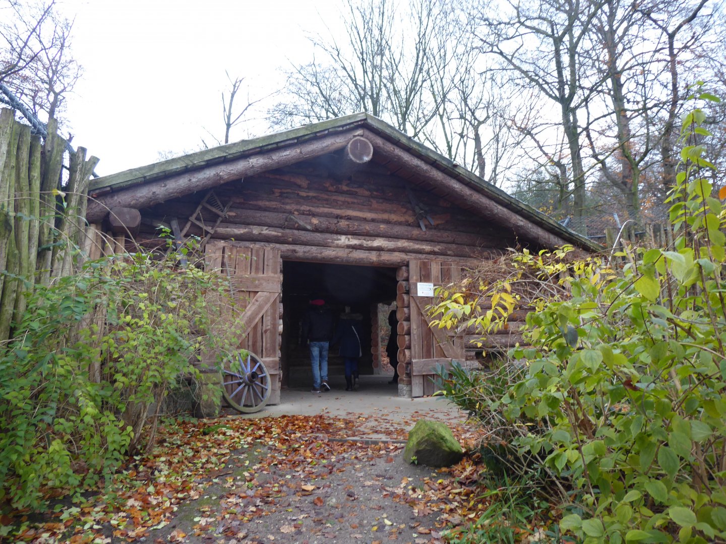 Entrance to viewing area for European wildcat and Eurasian lynx 011219
