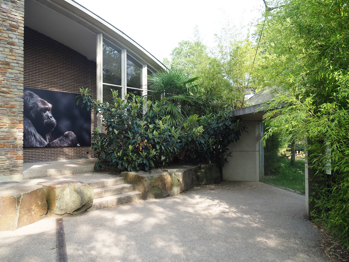 Entrance to viewing area for gorilla and chimpanzee indoor 'bedroom' exhibits and Chimpanzee outdoor exhibit viewing window, 2023-07-22