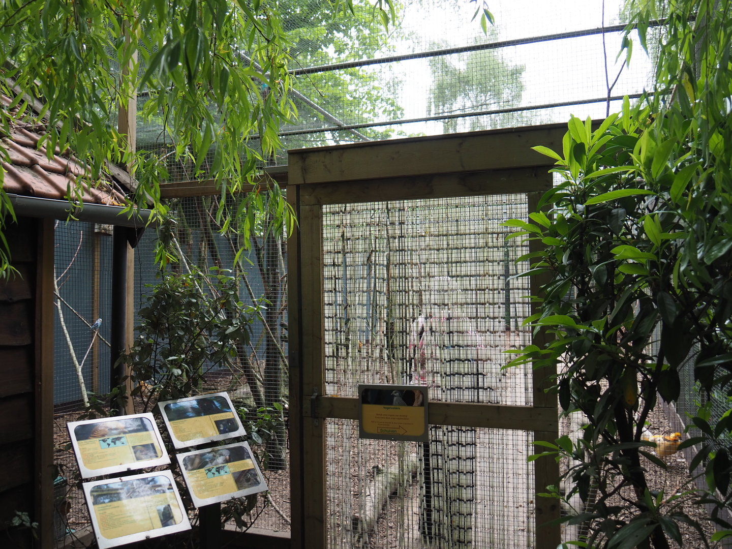 Entrance to walk-through aviary with pheasants, parakeets and a turaco, 2019-05-25