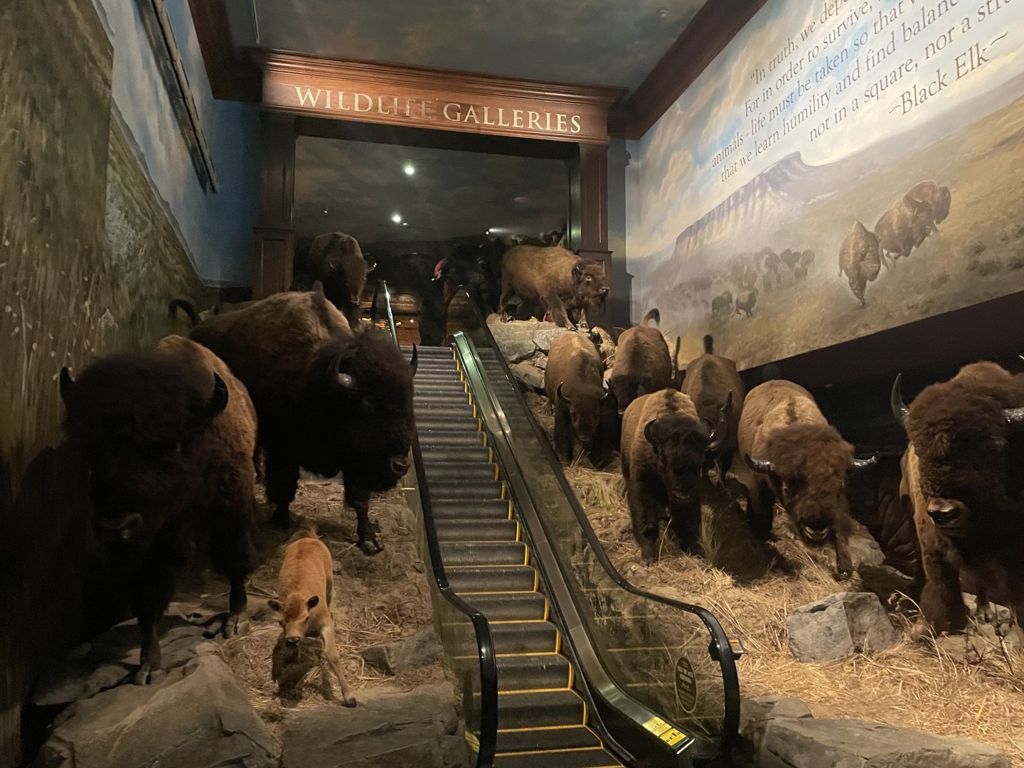 Entrance to Wildlife Galleries