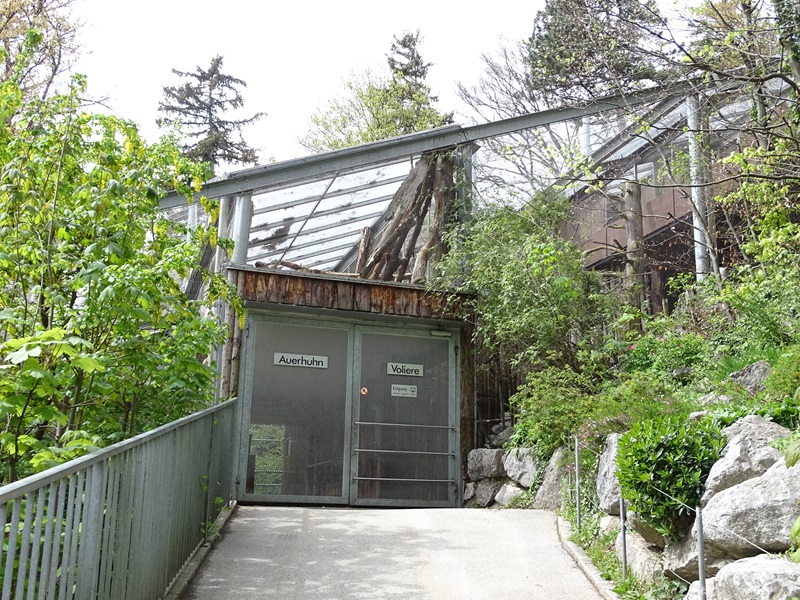 Entrance to woodland aviary and capercaillie aviary observation hut