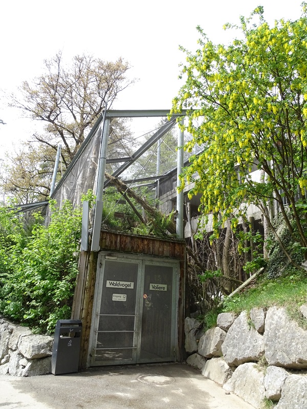 Entrance to woodland aviary (lower level)