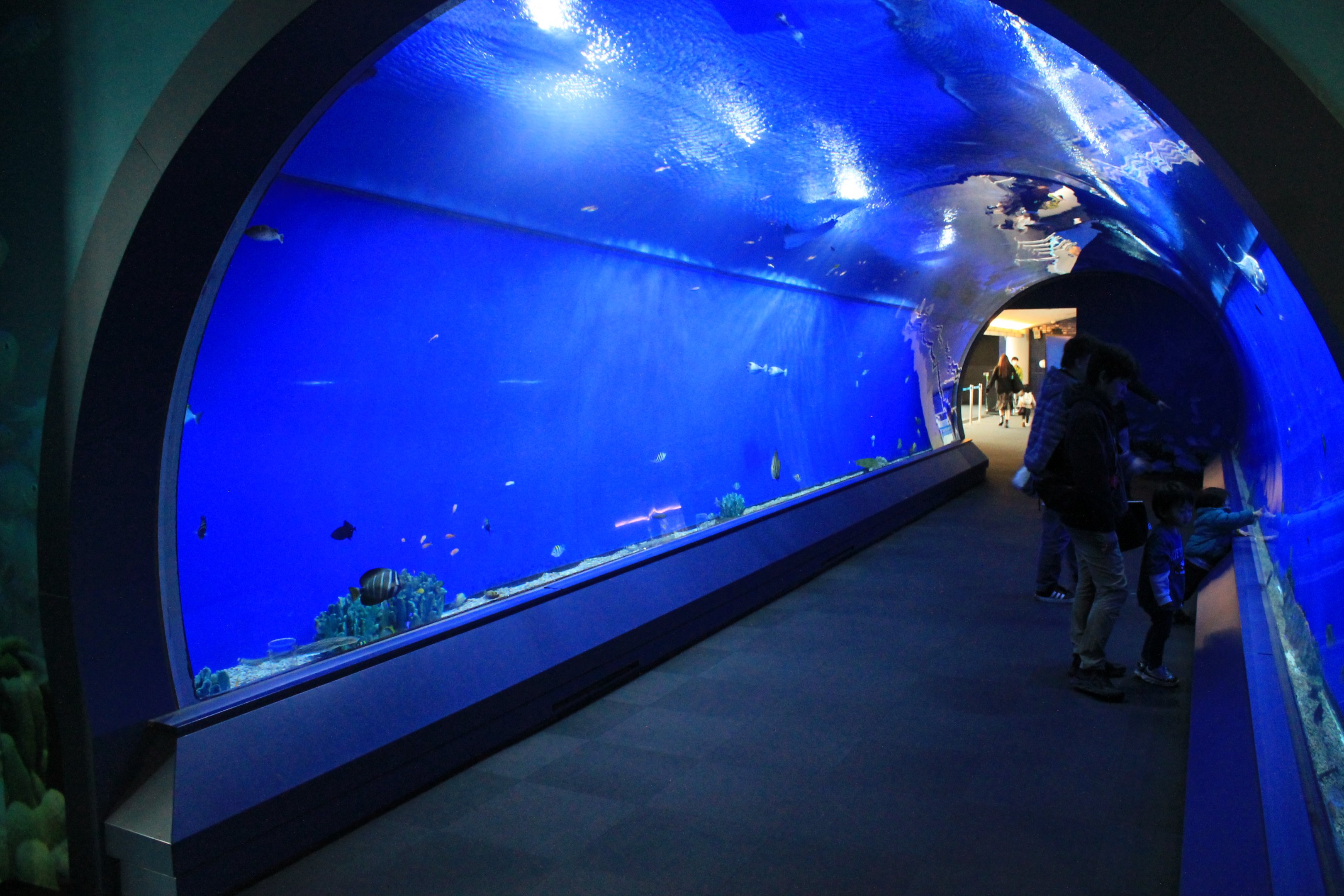 Entrance "tunnel" tank