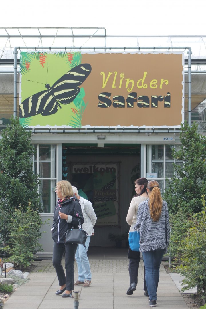 Entrance Vlinder Safari