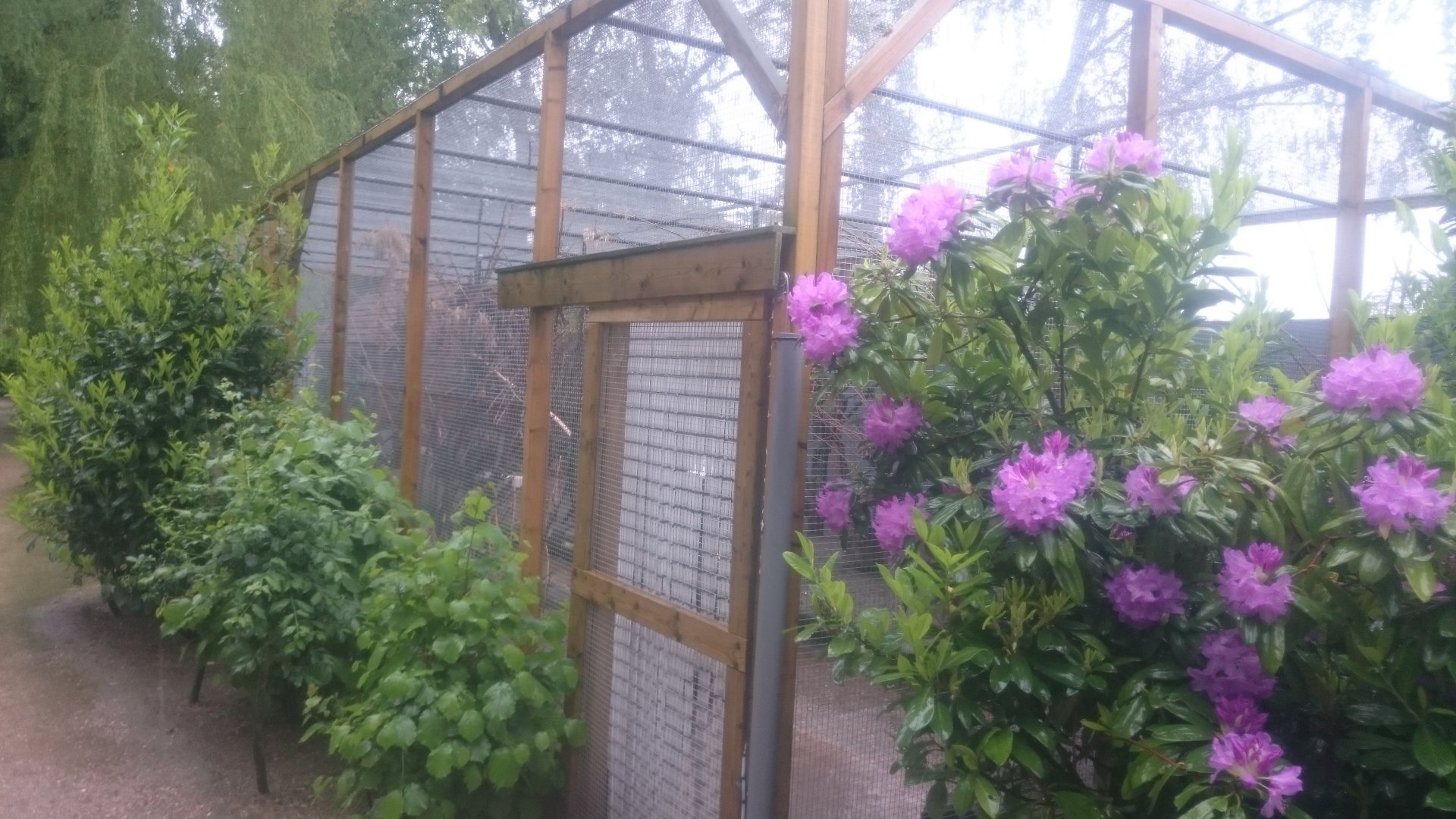 Entrance Walk-through-aviary