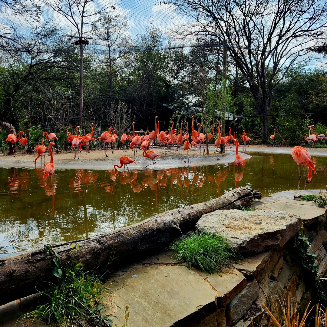 Entrance Walk-Through Aviary